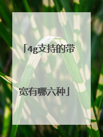 4g支持的带宽有哪六种