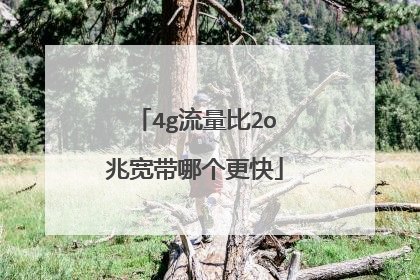 4g流量比2o兆宽带哪个更快