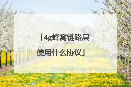 4g蜂窝链路层使用什么协议