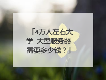 4万人左右大学 大型服务器需要多少钱?