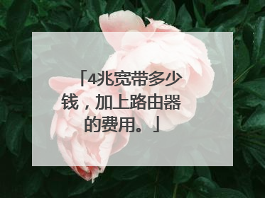 4兆宽带多少钱,加上路由器的费用。