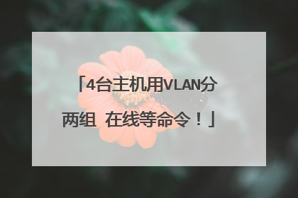 4台主机用VLAN分两组 在线等命令!