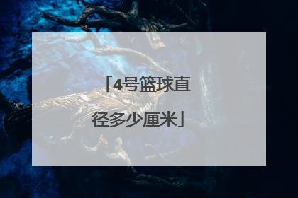 4号篮球直径多少厘米