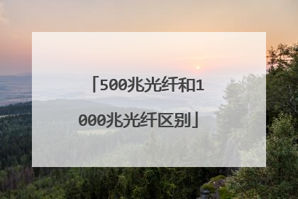 500兆光纤和1000兆光纤区别
