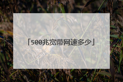 500兆宽带网速多少