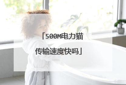 500M电力猫传输速度快吗