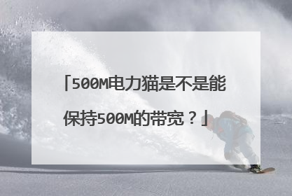 500M电力猫是不是能保持500M的带宽？