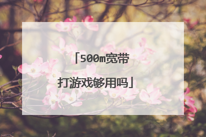 500m宽带打游戏够用吗