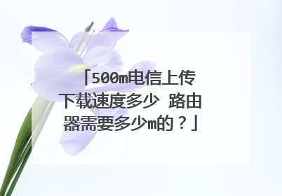 500m电信上传下载速度多少 路由器需要多少m的？