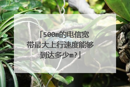 500m的电信宽带最大上行速度能够到达多少m?