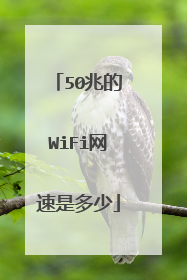 50兆的WiFi网速是多少