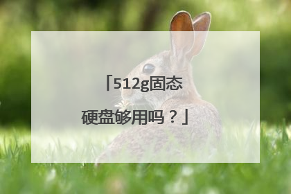 512g固态硬盘够用吗？