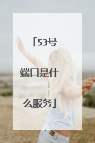 53号端口是什么服务