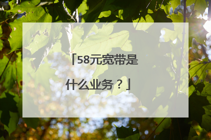 58元宽带是什么业务？