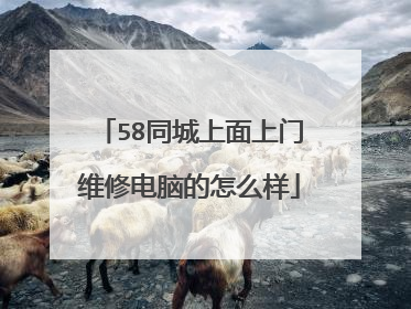 58同城上面上门维修电脑的怎么样