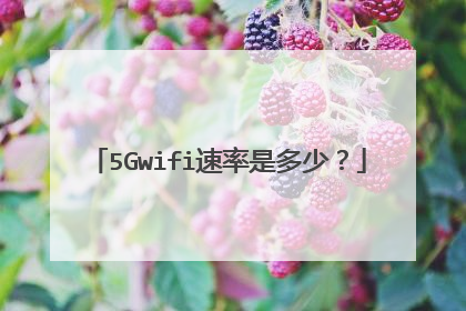 5Gwifi速率是多少?