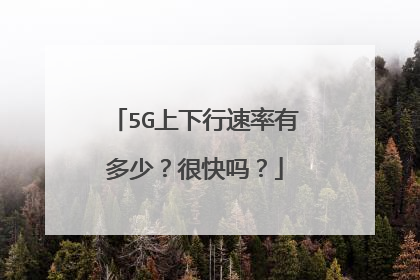 5G上下行速率有多少?很快吗?