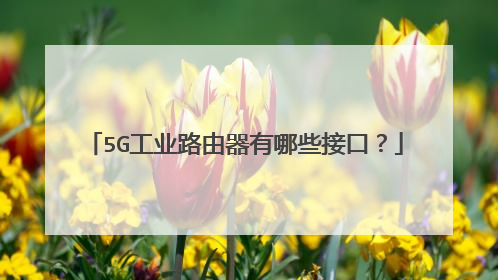 5G工业路由器有哪些接口？