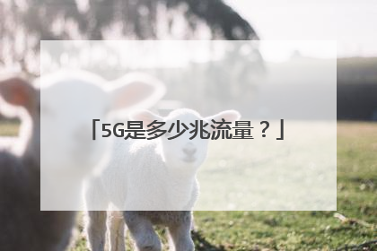 5G是多少兆流量？