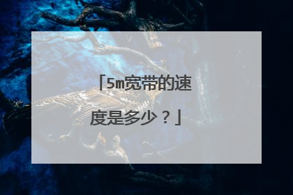 5m宽带的速度是多少？