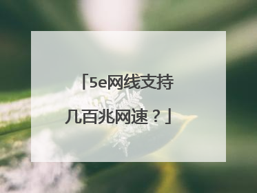 5e网线支持几百兆网速?