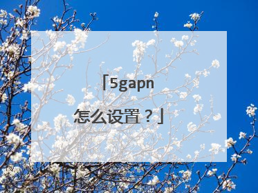 5gapn怎么设置?