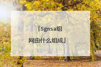 5gnsa组网由什么组成