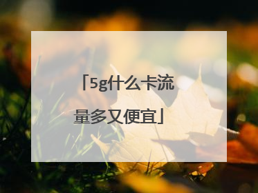 5g什么卡流量多又便宜