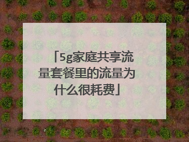 5g家庭共享流量套餐里的流量为什么很耗费