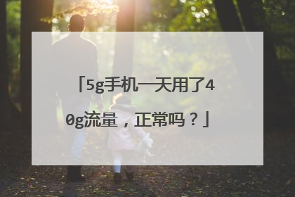 5g手机一天用了40g流量,正常吗?