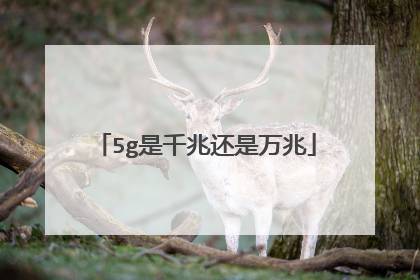 5g是千兆还是万兆