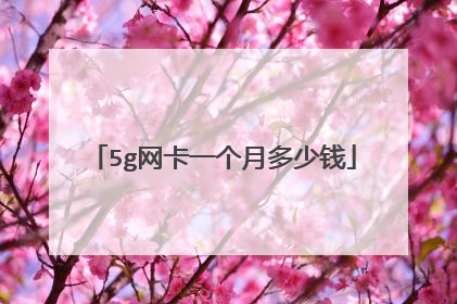 5g网卡一个月多少钱