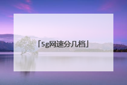 5g网速分几档