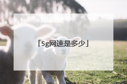 5g网速是多少