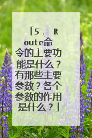 5． Route命令的主要功能是什么？有那些主要参数？各个参数的作用是什么？