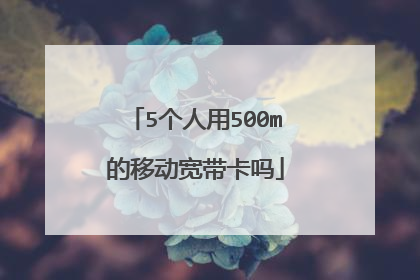 5个人用500m的移动宽带卡吗