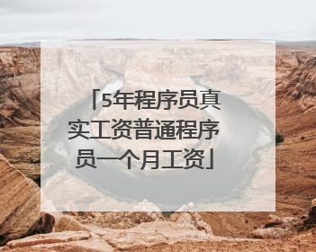 5年程序员真实工资普通程序员一个月工资