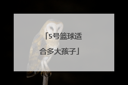 5号篮球适合多大孩子