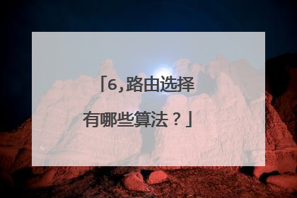 6,路由选择有哪些算法?
