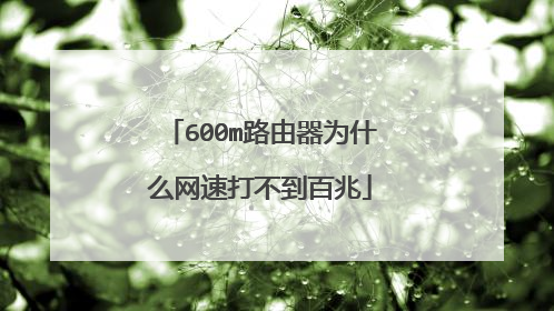 600m路由器为什么网速打不到百兆