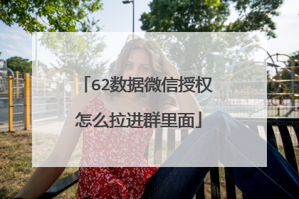 62数据微信授权怎么拉进群里面