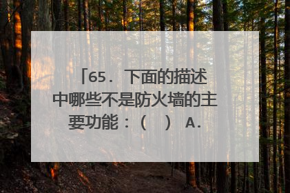 65. 下面的描述中哪些不是防火墙的主要功能：（ ） A. 过滤进出网络的数据 B. 管理进出网络的访问行为 C.