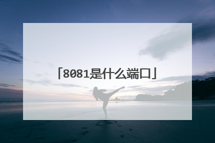 8081是什么端口