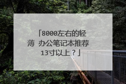 8000左右的轻薄 办公笔记本推荐 13寸以上？