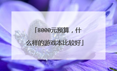8000元预算,什么样的游戏本比较好