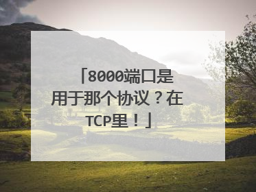 8000端口是用于那个协议?在TCP里!