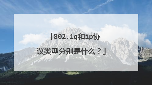 802.1q和ip协议类型分别是什么？