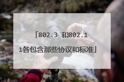 802.3 和802.11各包含那些协议和标准