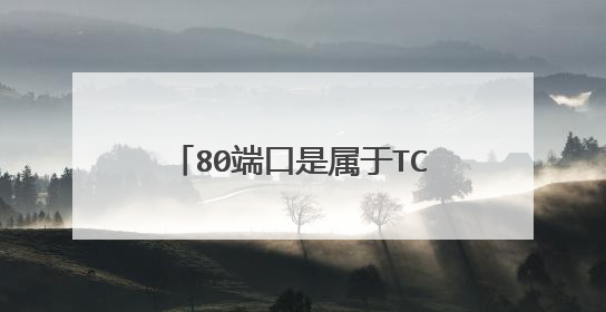 80端口是属于TCP端口还是IP端口还是UDP端口?