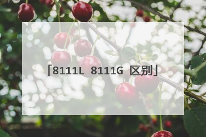 8111L 8111G 区别